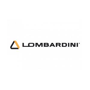 resized_th_lombardini_XCP